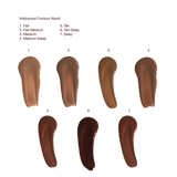 THE HOLLYWOOD CONTOUR DUO