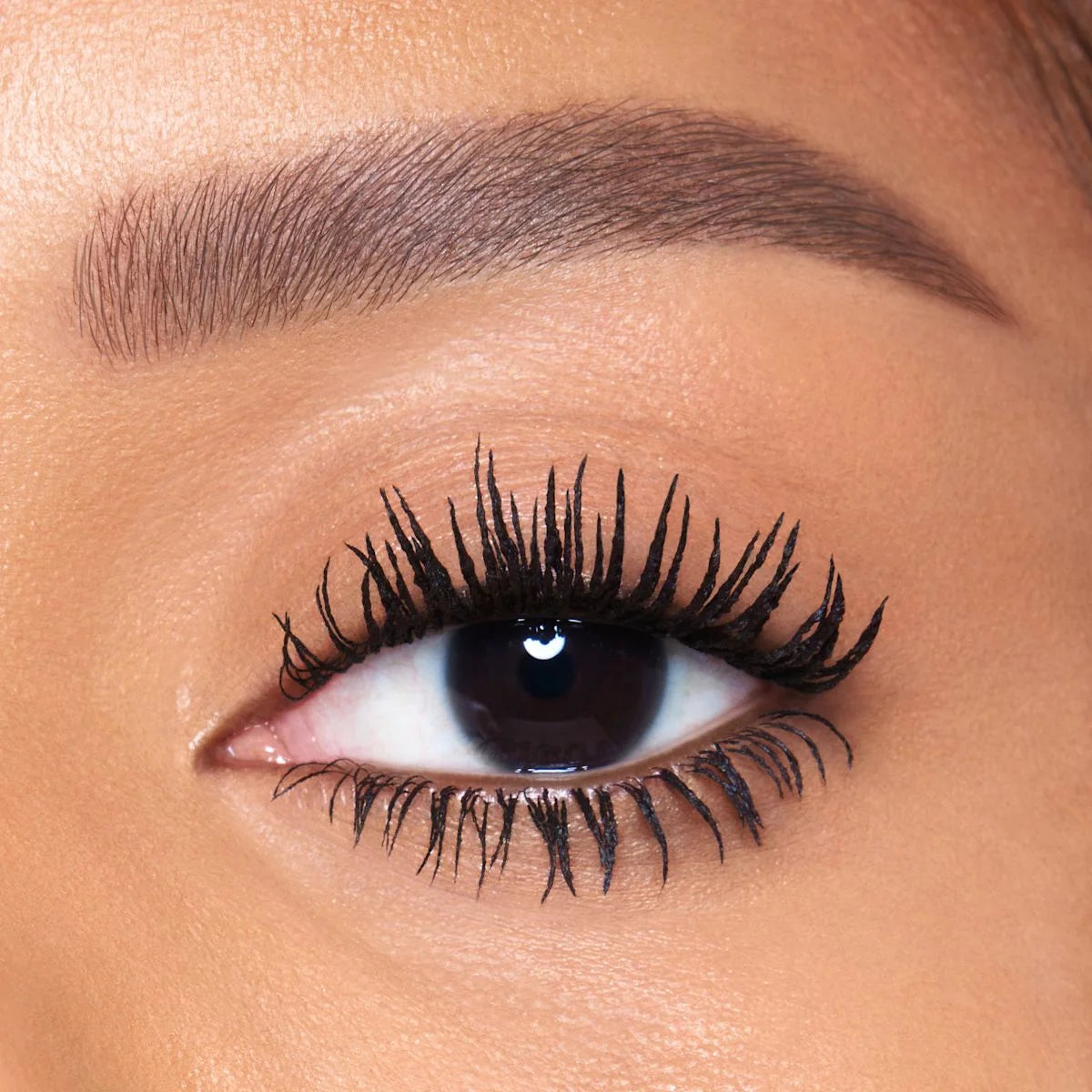 EYE FILTER KIT